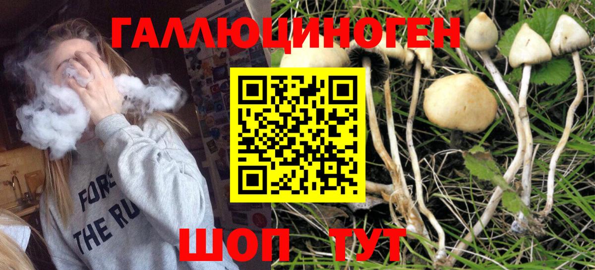 Шахты  Галлюциногенные грибы MAGIC MUSHROOMS  Вход с VPN 