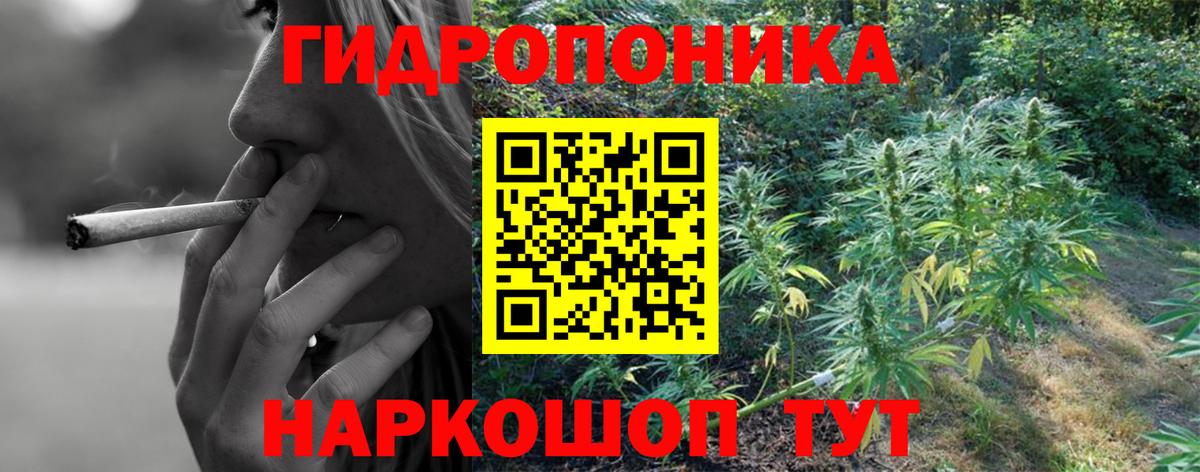 Канабис MAZAR Шахты